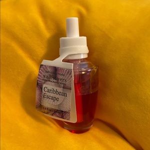 Bath & Body Works Caribbean Wallflower